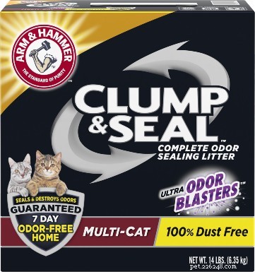 Wood Pellets vs Clumping Litter: Which Is the Best Choice for Your Cat?