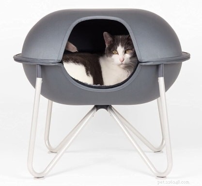 22 Must-Have Supplies Every New Cat Owner Needs – Complete Shopping Checklist