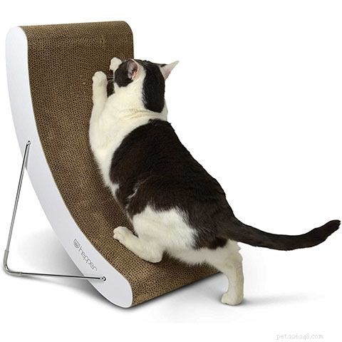 22 Must-Have Supplies Every New Cat Owner Needs – Complete Shopping Checklist