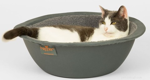 22 Must-Have Supplies Every New Cat Owner Needs – Complete Shopping Checklist