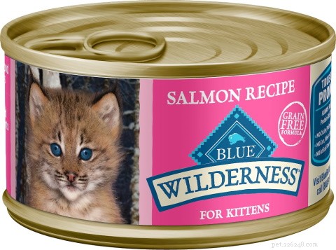 22 Must-Have Supplies Every New Cat Owner Needs – Complete Shopping Checklist