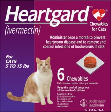 22 Must-Have Supplies Every New Cat Owner Needs – Complete Shopping Checklist