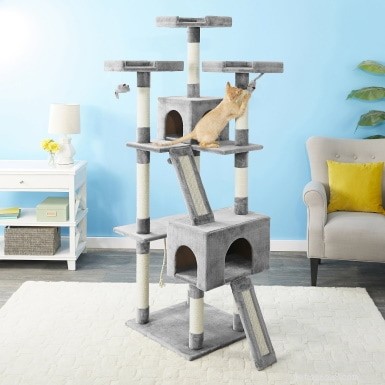 22 Must-Have Supplies Every New Cat Owner Needs – Complete Shopping Checklist