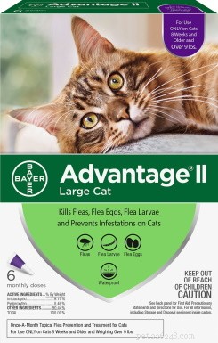 22 Must-Have Supplies Every New Cat Owner Needs – Complete Shopping Checklist