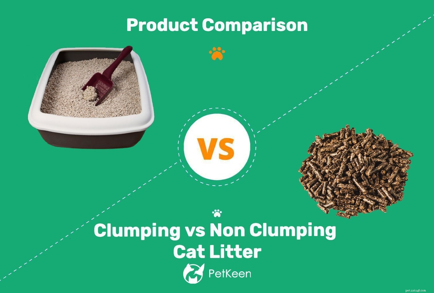 Choosing Between Clumping and Non‑Clumping Cat Litter: A Practical Guide for Cat Owners