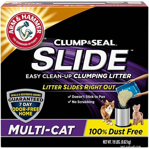 Choosing Between Clumping and Non‑Clumping Cat Litter: A Practical Guide for Cat Owners