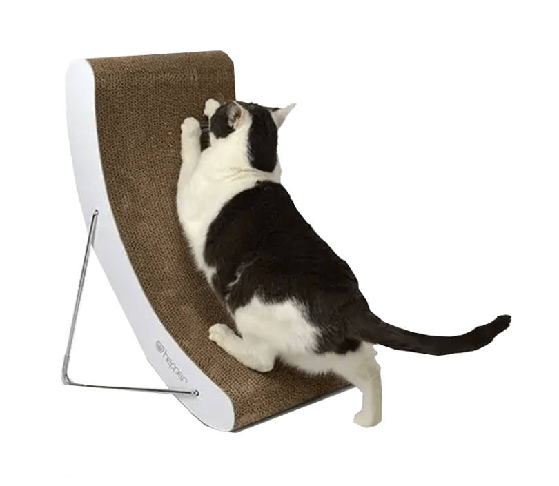 10 Essential Tips to Cat-Proof Your Home for a Safe, Happy Cat