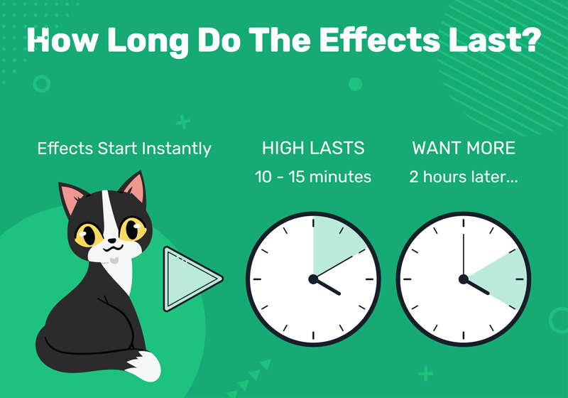 Understanding Catnip: Benefits, Usage, and How It Affects Your Cat (Infographic)