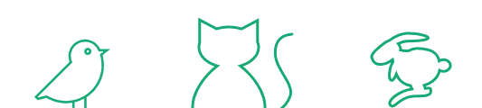 Safe Essential Oils for Diffusion Around Cats: A Guide