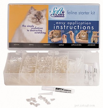 Are Nail Caps Safe for Cats? Expert Safety Guide