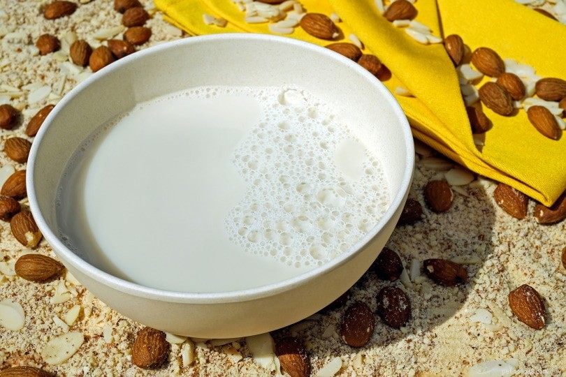 Is Almond Milk Safe for Cats? A Practical Guide