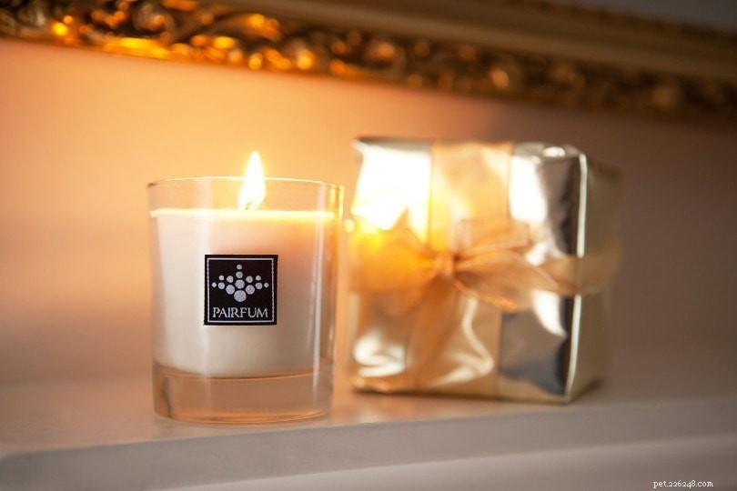 Are Scented Candle Emissions Safe for Cats? What You Need to Know