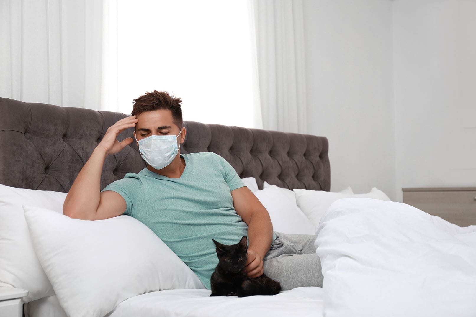 Are Humans at Risk of Cat-Transmitted Worms? Key Facts Explained