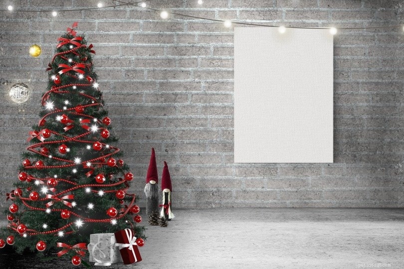 Are Christmas Trees Harmful to Cats? Key Safety Tips for Pet Owners
