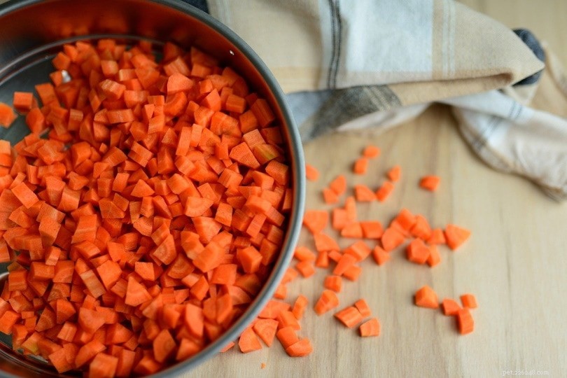 The Ultimate Guide to Cat Fiber: Top 6 Sources & Daily Requirements
