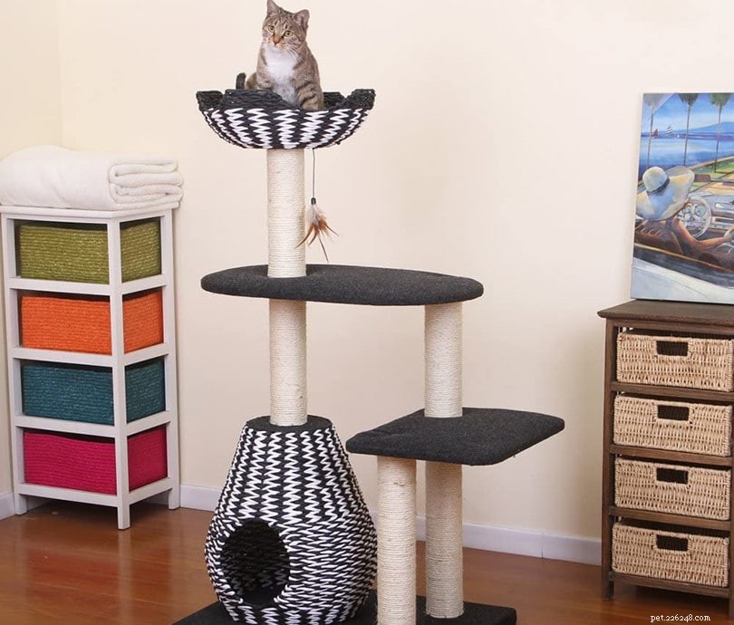 9 Clear Signs Your Cat Is Bored—and How to Fix It