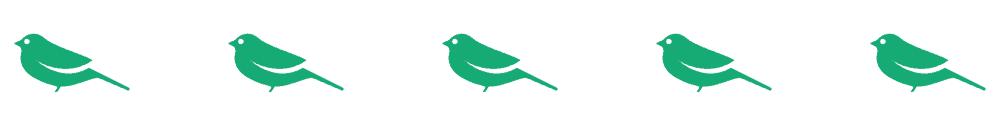 Prevent Your Cat From Hunting Birds – Humane, Proven Strategies