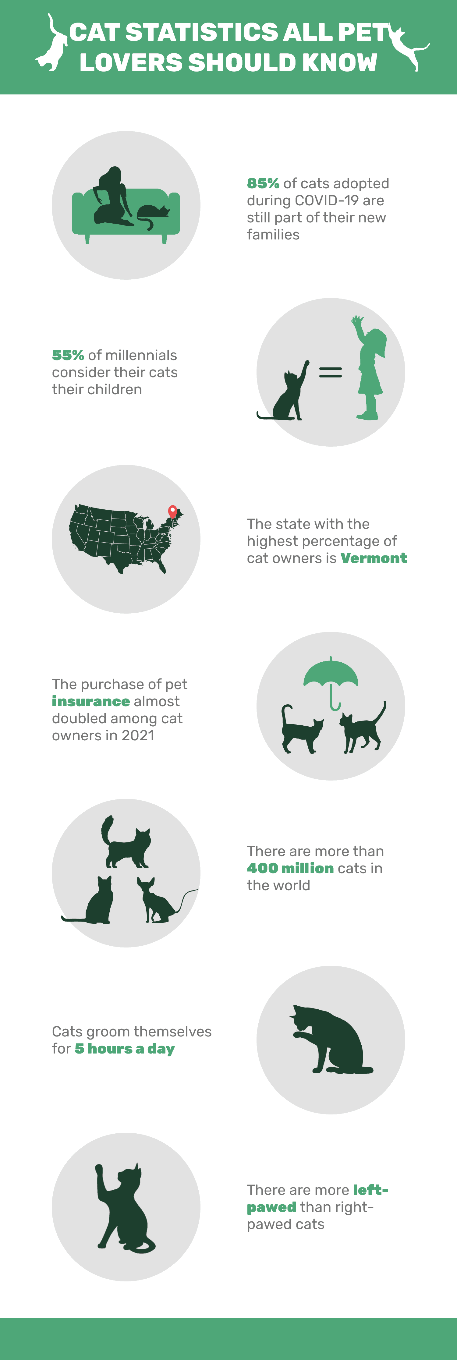 15 Fascinating Cat Stats Every Pet Lover Must Know in 2024