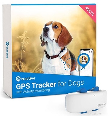 Top 8 GPS Cat Trackers of 2022: Reliable Collars & More