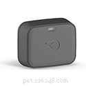Top 8 GPS Cat Trackers of 2022: Reliable Collars & More