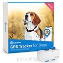 Top 8 GPS Cat Trackers of 2022: Reliable Collars & More
