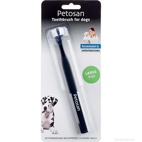 Top 10 Cat Toothbrushes of 2022: Expert Review & Best Picks