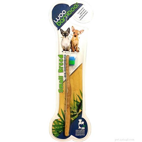 Top 10 Cat Toothbrushes of 2022: Expert Review & Best Picks