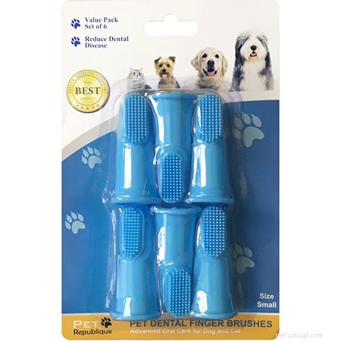 Top 10 Cat Toothbrushes of 2022: Expert Review & Best Picks