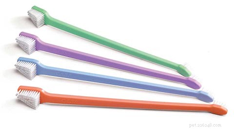 Top 10 Cat Toothbrushes of 2022: Expert Review & Best Picks