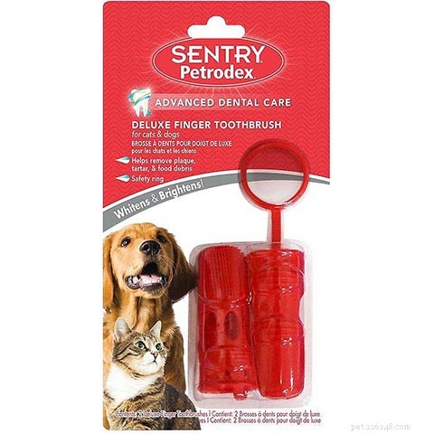 Top 10 Cat Toothbrushes of 2022: Expert Review & Best Picks
