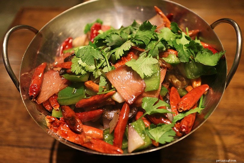 Do Cats Detect Spicy Foods? Insights and Tips for Cat Owners