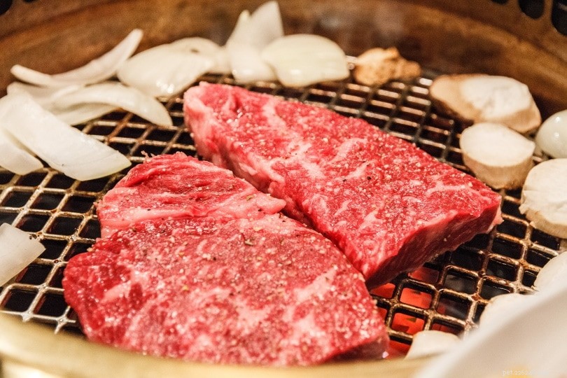 Discover 6 Premier Japanese Cattle Breeds – An Expert Guide with Images