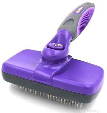Top 10 Maine Coon Cat Brushes of 2022 – Expert Review & Recommendations