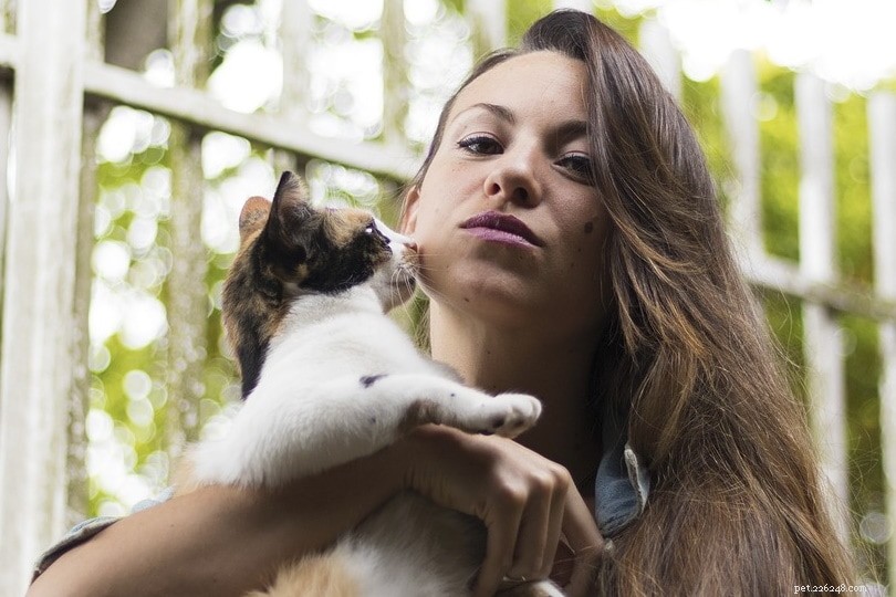 Do Cats Enjoy Being Kissed? Understanding Their Love for Human Affection