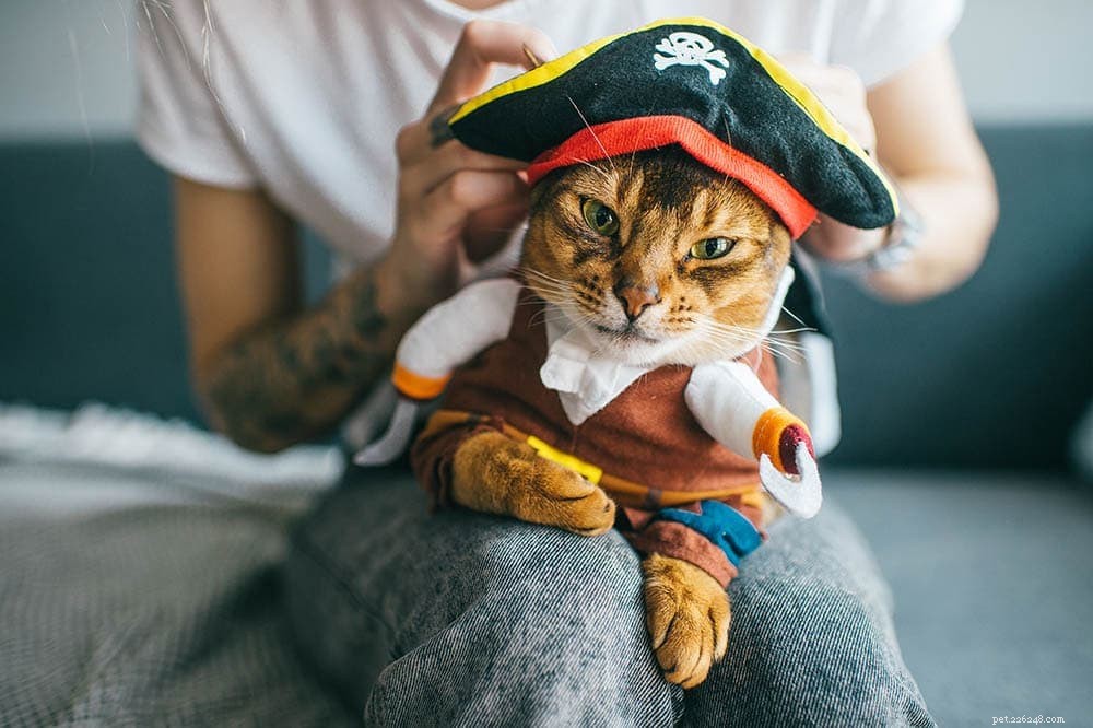 Discover 300+ Anime-Inspired Cat Names: Adorable & Unique Choices for Your Feline