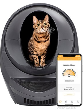 Top 51 Gift Ideas for Cat Lovers: 2022 Edition