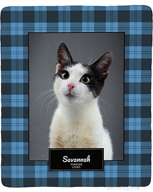 Top 51 Gift Ideas for Cat Lovers: 2022 Edition
