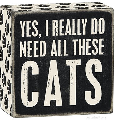 Top 51 Gift Ideas for Cat Lovers: 2022 Edition
