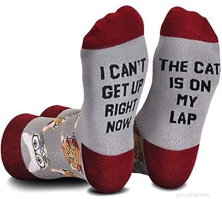 Top 51 Gift Ideas for Cat Lovers: 2022 Edition