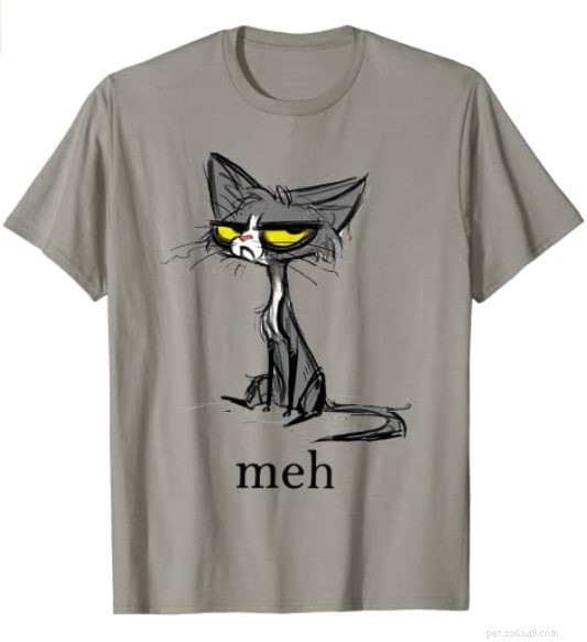 Top 51 Gift Ideas for Cat Lovers: 2022 Edition