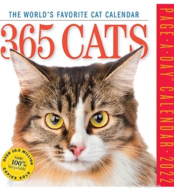 Top 51 Gift Ideas for Cat Lovers: 2022 Edition