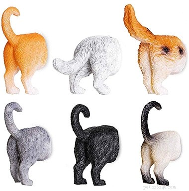 Top 51 Gift Ideas for Cat Lovers: 2022 Edition