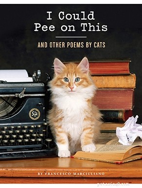 Top 51 Gift Ideas for Cat Lovers: 2022 Edition