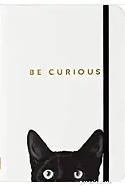 Top 51 Gift Ideas for Cat Lovers: 2022 Edition