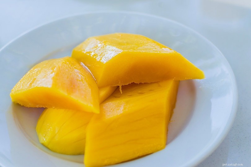 Mango for Cats: Safe, Benefits, and Feeding Guidelines