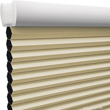 Top 6 Cat‑Proof Blinds for Long‑Lasting Durability