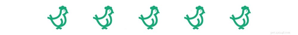 Catalana Chicken: A Rare Spanish Breed Ideal for Warm Climates