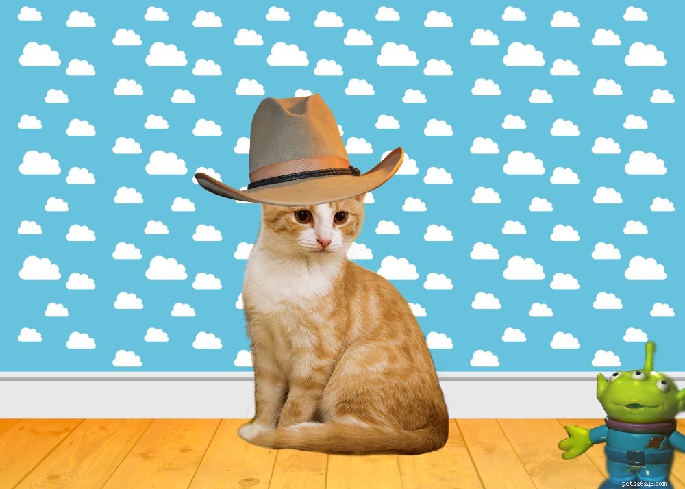 Discover 350+ Disney Cat Names – Unique & Adorable Options for Your Feline Friend