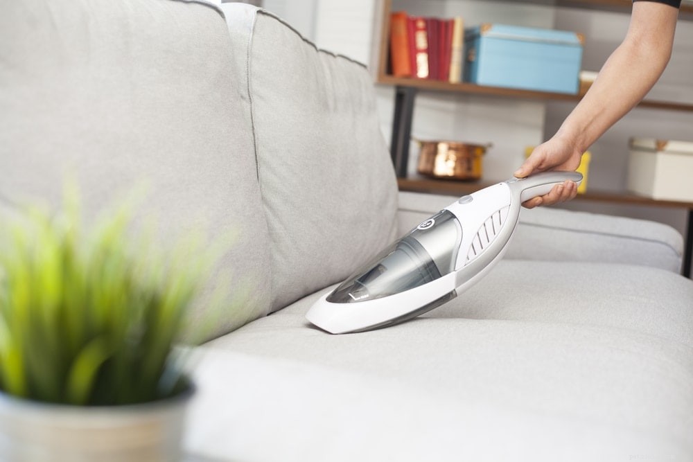 Quick & Easy 5-Step Guide to Removing Cat Poop Stains & Odors from Your Couch