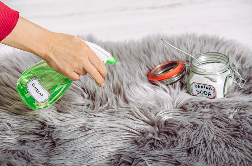 Quick & Easy 5-Step Guide to Removing Cat Poop Stains & Odors from Your Couch